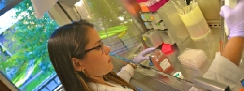 Prorrogadas inscrições gratuitas para Clube de Ciência realizado pela Harvard em BH